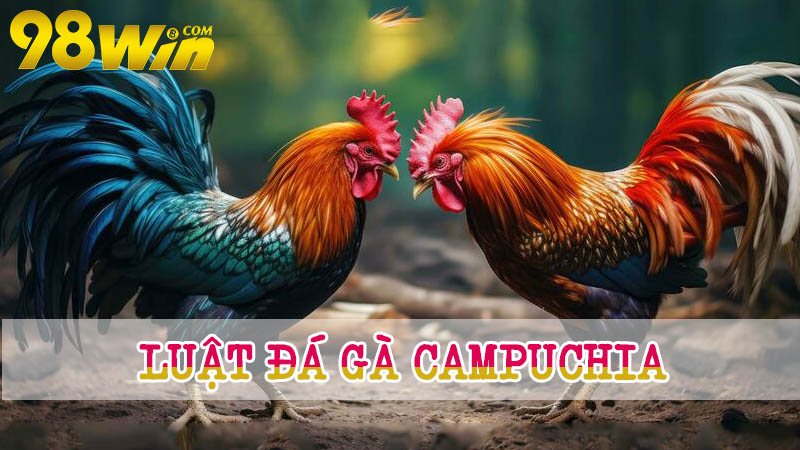 Kinh nghiệm cá cược đá gà Campuchia giành chiến thắng