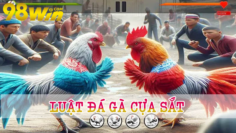 Luật đá gà cựa sắt chi tiết cho tân kê thủ